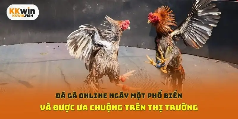 Đá gà online ngày một phổ biến và được ưa chuộng trên thị trường
